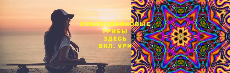 Галлюциногенные грибы Cubensis  как найти закладки  omg как зайти  Ленинск-Кузнецкий 